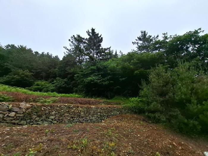 목록번호2.