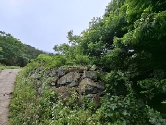 목록번호9.