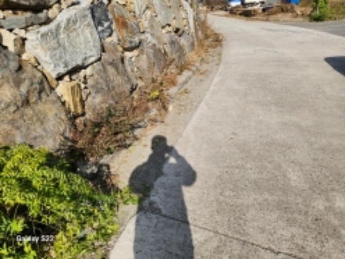 본건 15