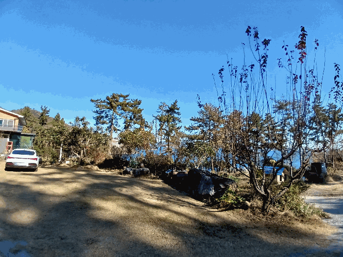 일련번호 3) 지상수목