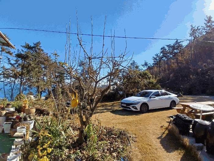 일련번호 3) 지상수목