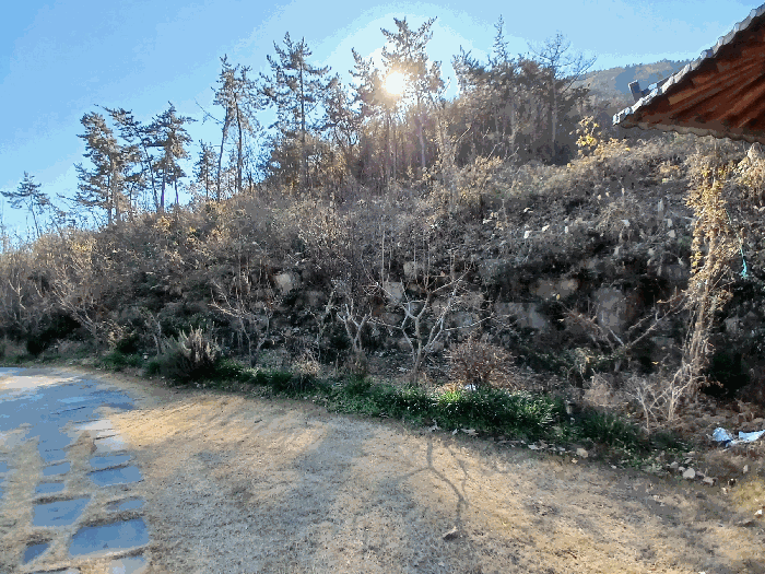 일련번호 3) 지상수목