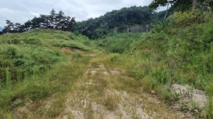 남원 이백 효기 산54-2,산53, 주천 은송 산44 현황 사진