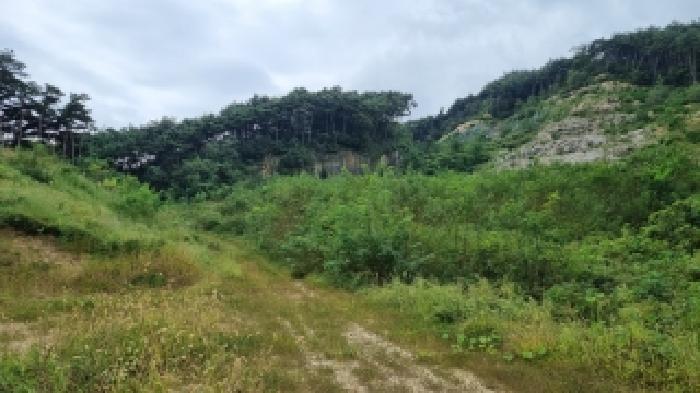 남원 이백 효기 산54-2,산53, 주천 은송 산44 현황 사진