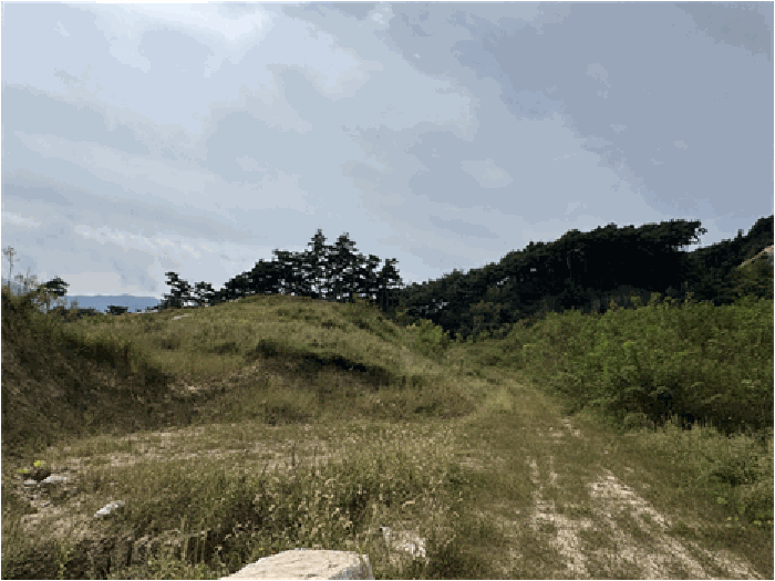 [일련번호(8)토지]