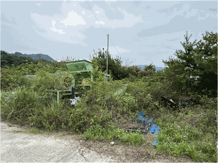 [[일련번호(6)토지-제시외수목 소재]