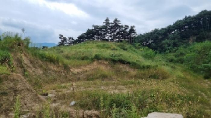 남원 이백 효기 산52 현황 사진