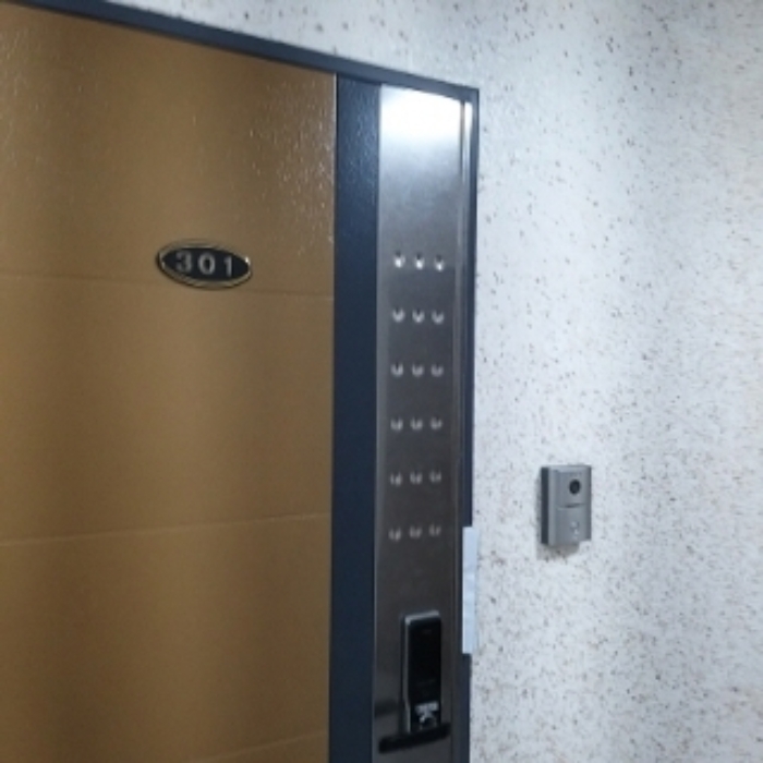 세대 출입문(301호)