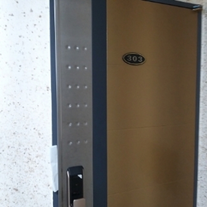 세대 출입문(303호)