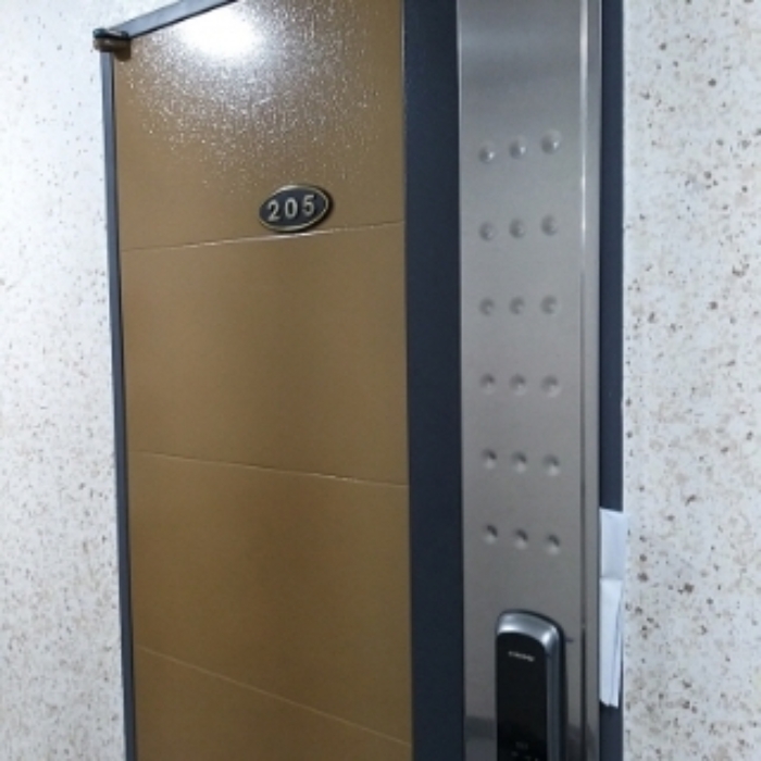 세대 출입문(205호)