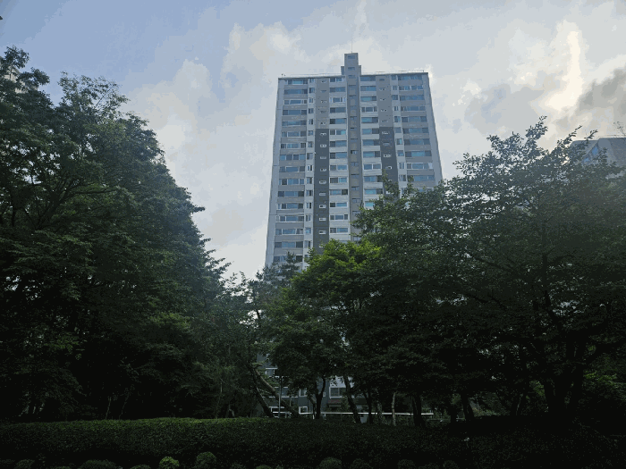 기호(가) 소재 제801동