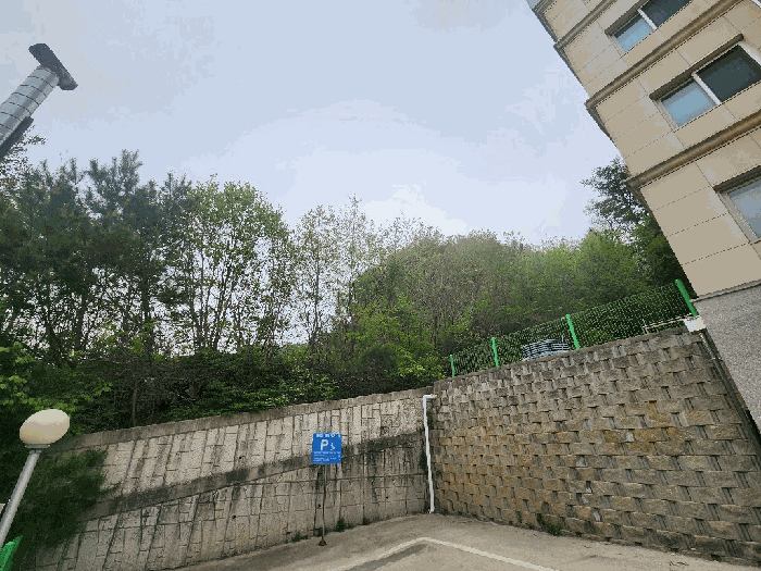기호(1) 및