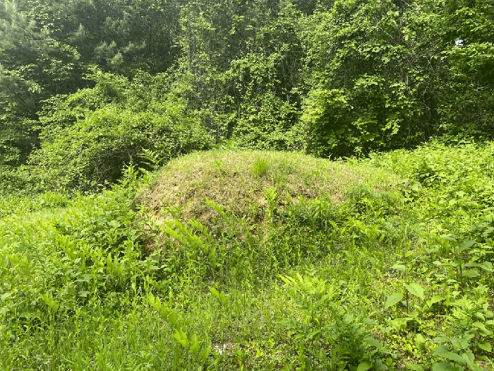 일련번호(5)