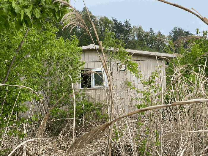 일련번호(1) 지상의 제시외