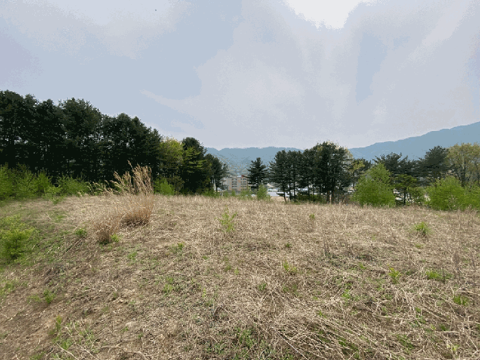 일련번호(4)