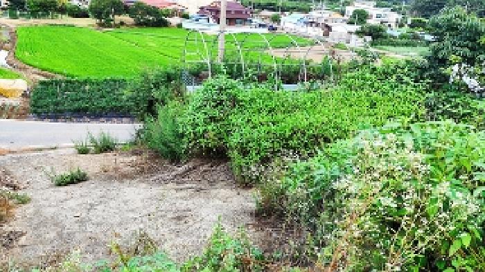 3번 부동산