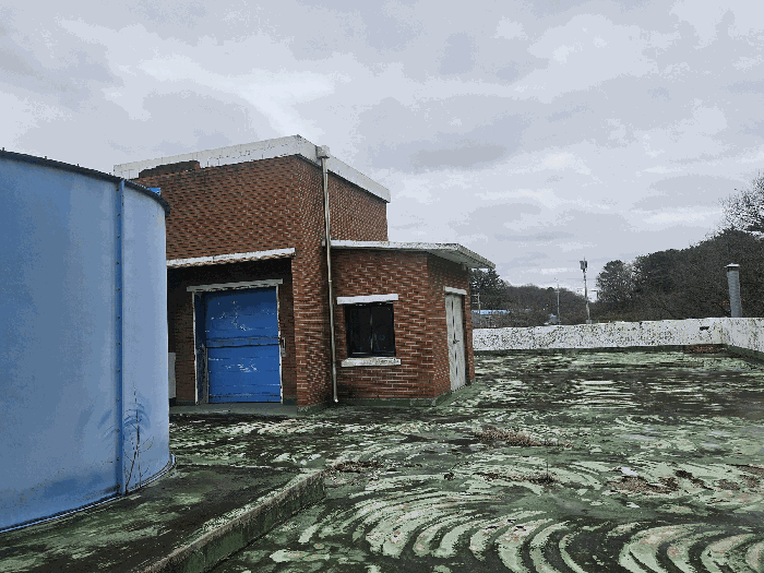 옥상 제시 외 건물