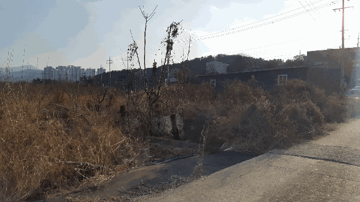본건 번호 (1