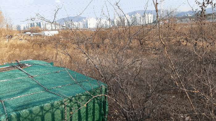 본건 번호 (1