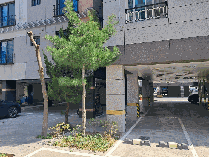 본건 토지상 소재 수목 전경