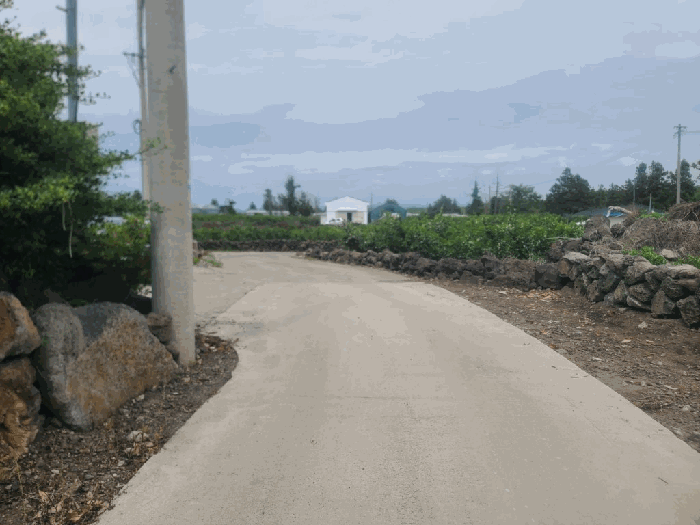 접면도로 및 주위환경