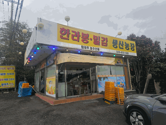 기호(5) 전경