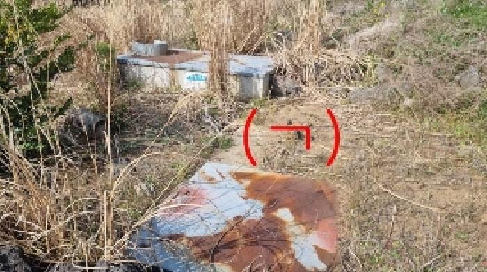 소재지1(표선리 1982-1) 지상에 소재한 제시외 건물(ㄱ)