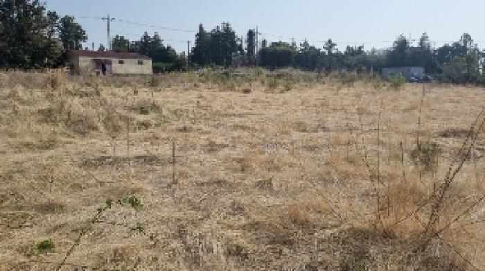 소재지4(표선리 1982-2) 전경2