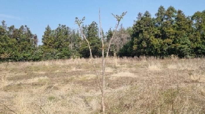 소재지4(표선리 1982-2) 전경3