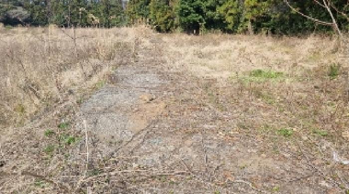 소재지1(표선리 1982-1) 전경3