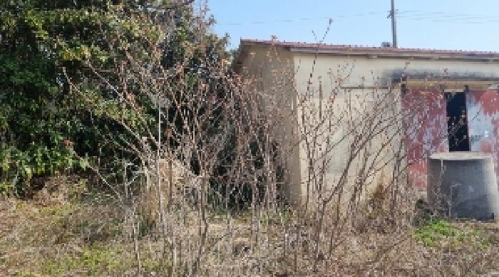 소재지1(표선리 1982-1) 전경4