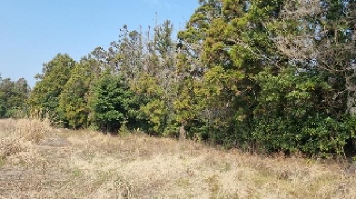 소재지1(표선리 1982-1) 전경5