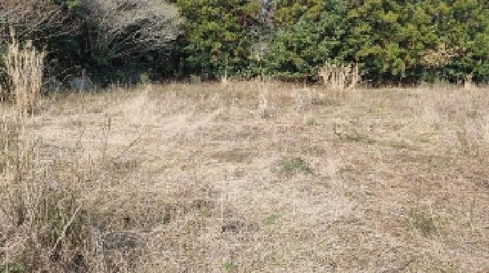 소재지2(표선리 1982-3) 전경1