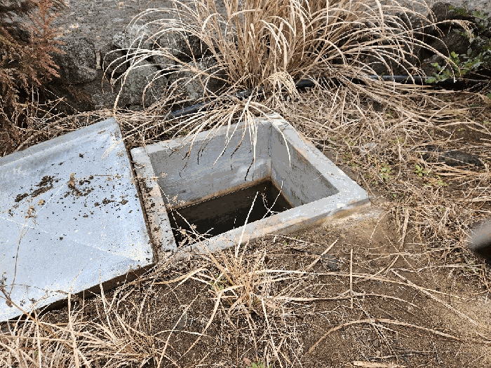 제시외 건물(ㄱ)