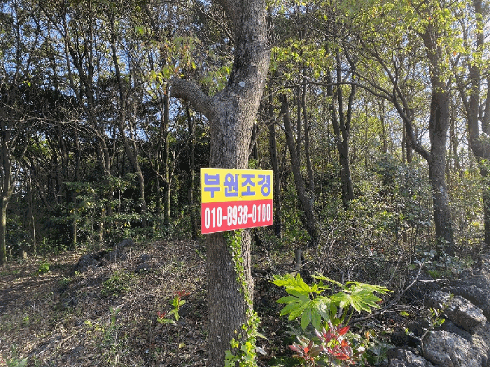 일련번호 1 지상에 식재된 조경수 소유자