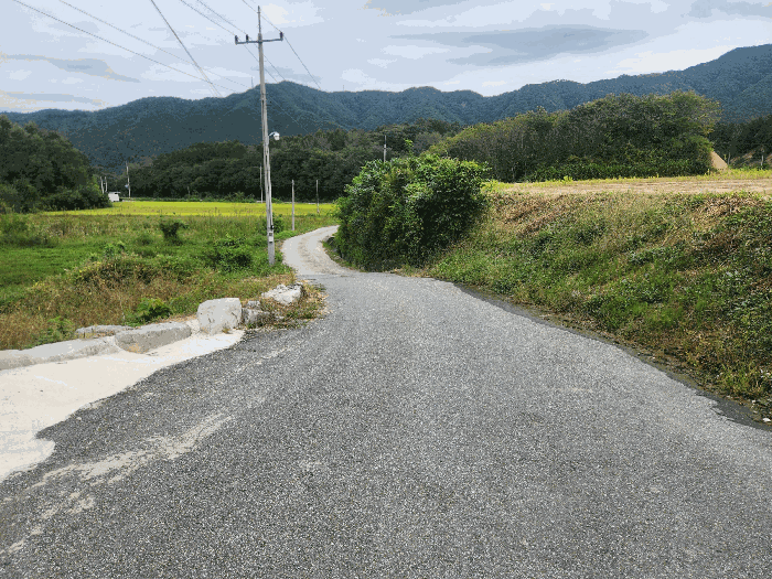 주변환경(북동측 도로)