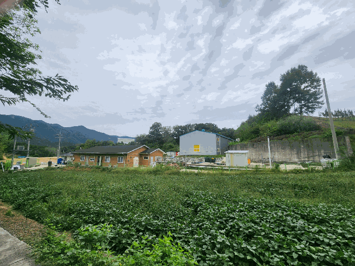 기호(1) 전경(북서측에서 촬영)