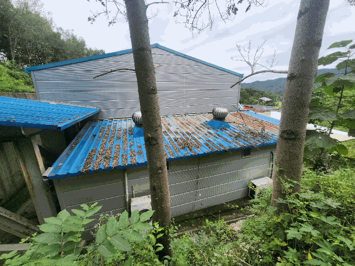 기호(2) 공장(남측 부분)