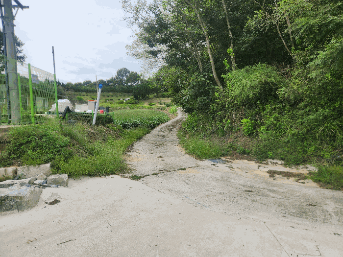 주변환경(북측 도로)