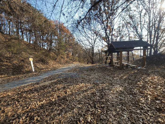 본건 기호3 연접토지상 개설된 임도(주위환경)