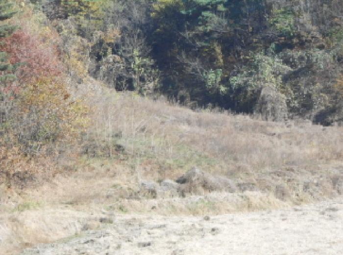 목록2 전경