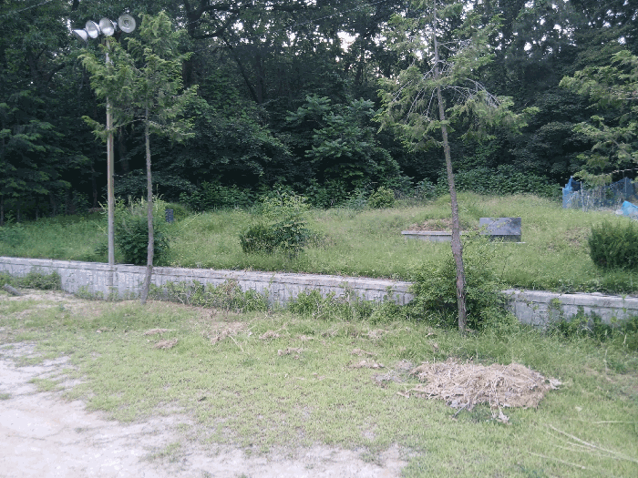 지상의 묘지 전경