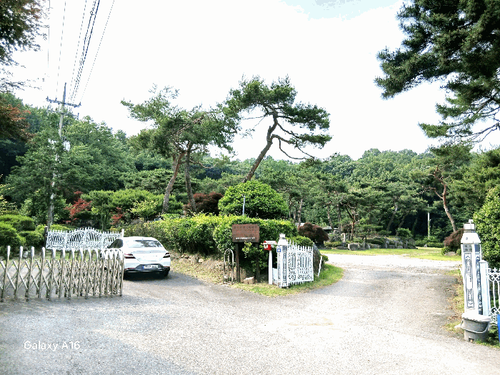 대상토지 및 주변 전경