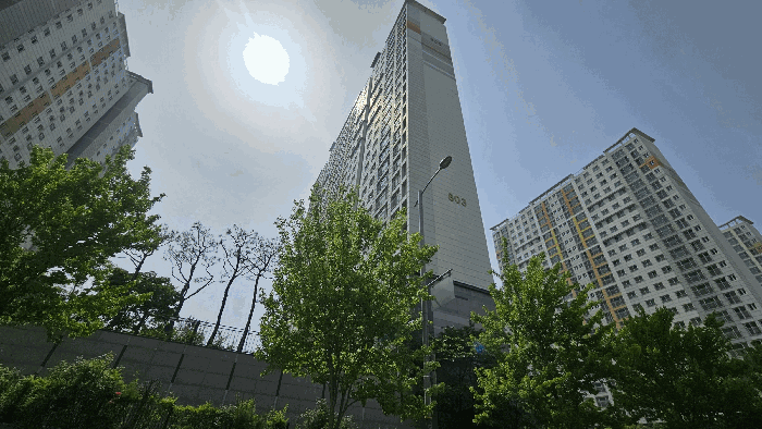 803동 전경(동측에서)