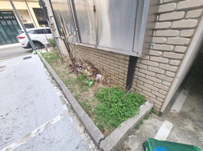 목록2 제시외 화단 모습