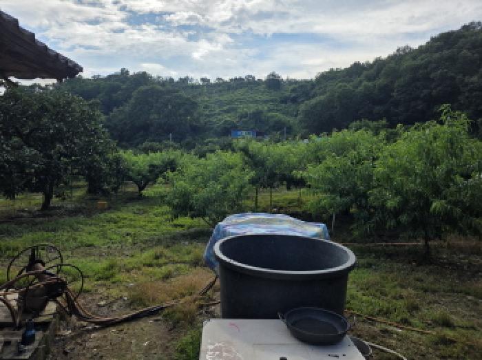 이서면 칠곡리