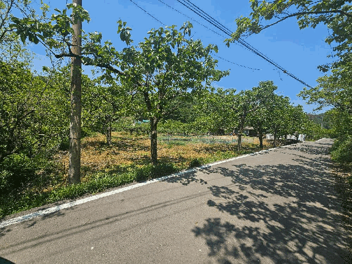 본건 기호 1