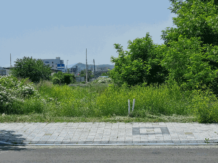 본건 전경(동측에서 촬영)