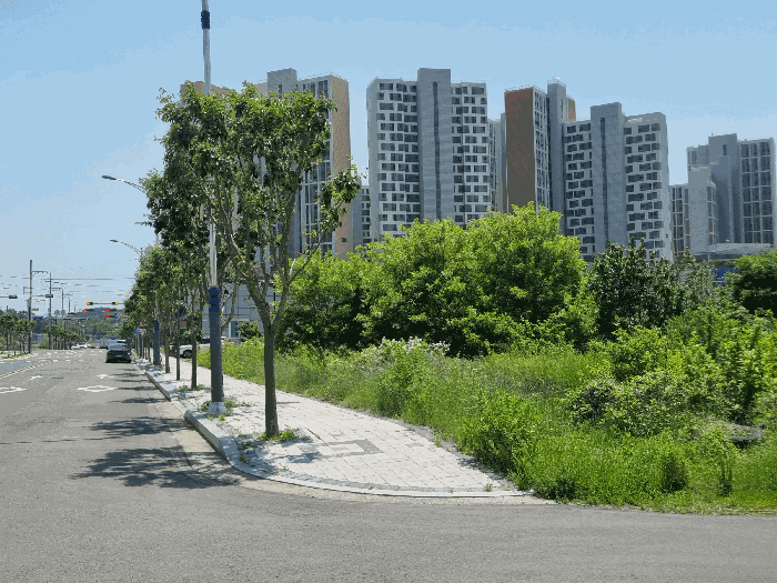 본건 주위전경(북동측에서 촬영)