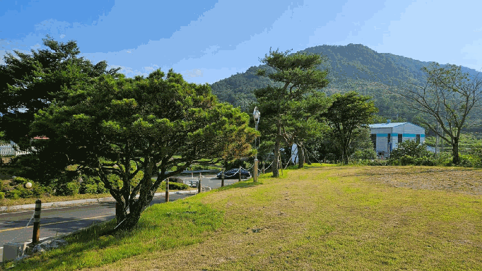 제시외물건㉦ 조경부분